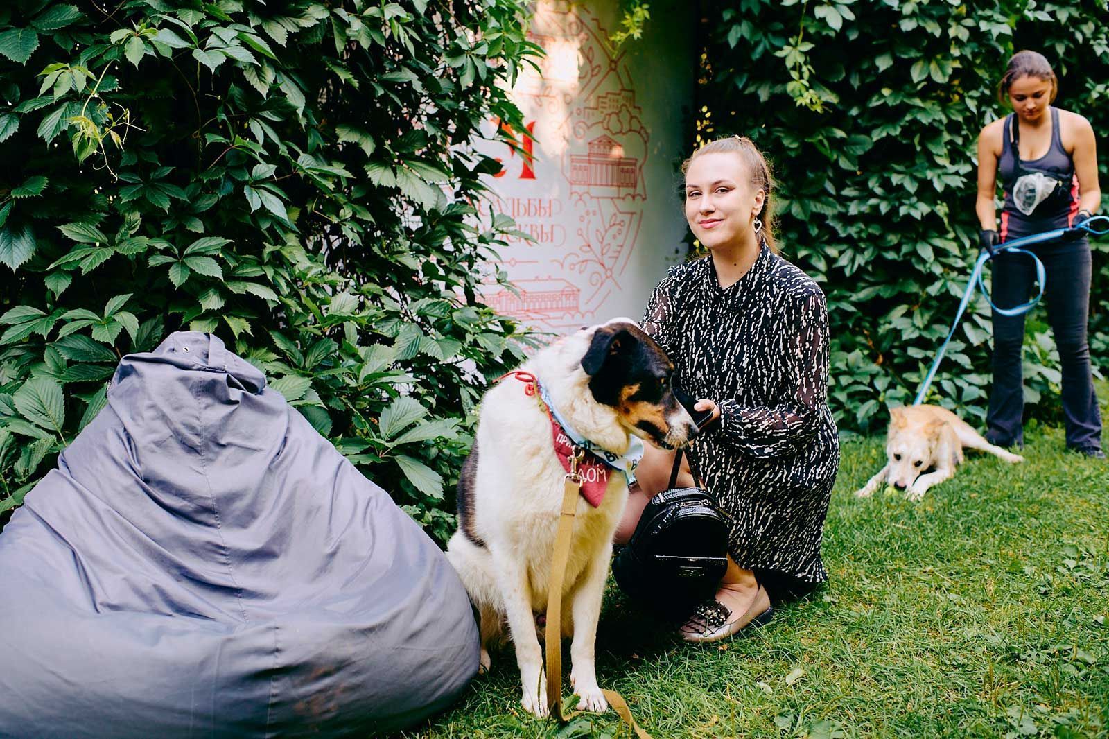 Фестиваль «Лапки» стартовал в парке «Ходынское поле»