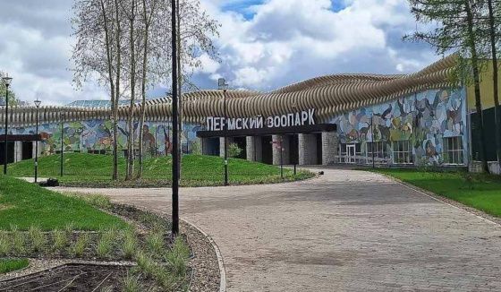 Пермский зоопарк вошёл в список претендентов на звание лучшего в России