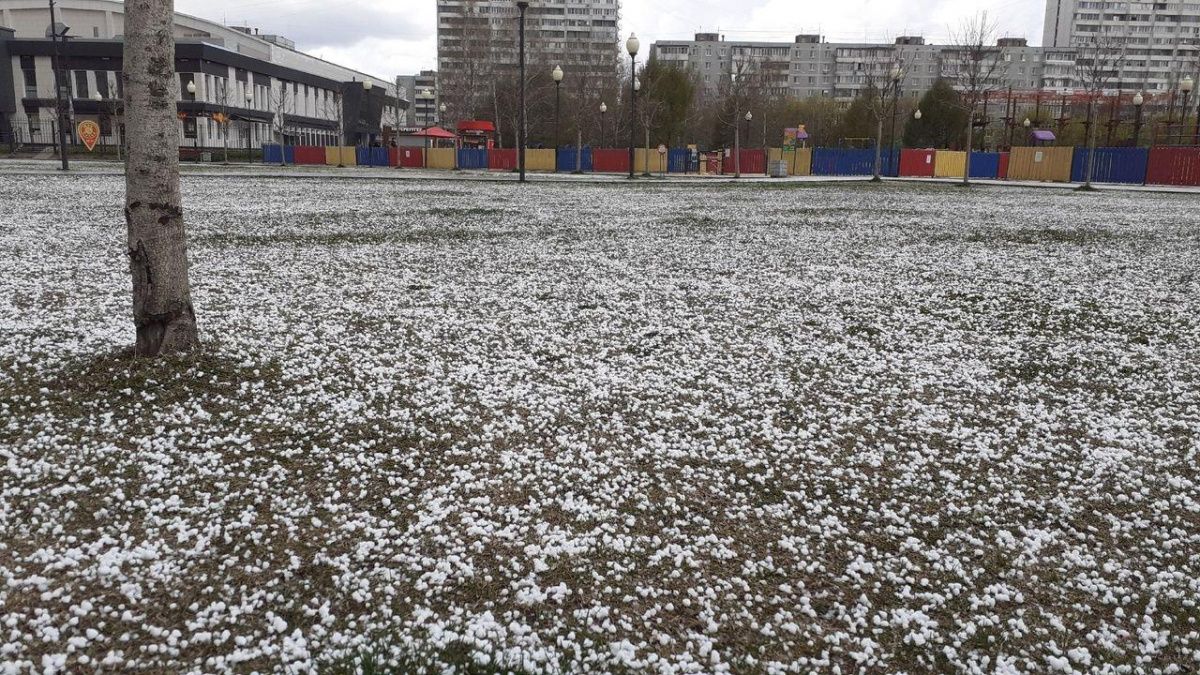 Снежная крупа «накроет» Петербург и область