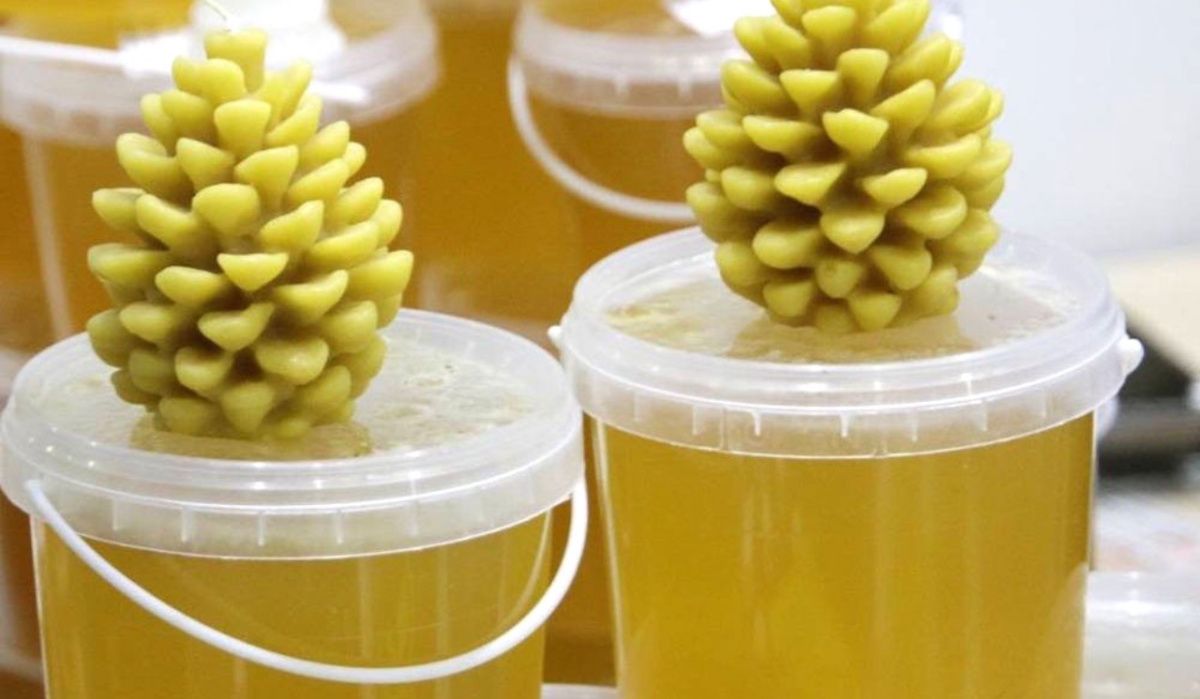 Башкирский мёд: более 1,5 тонны доставлено на орбиту для научных исследований