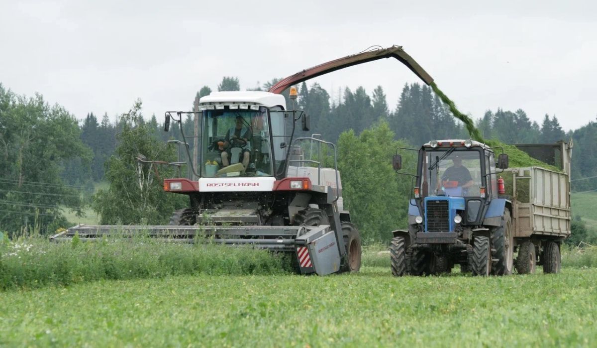 АО "Птицефабрика Чайковская" заканчивает заготовку витаминно-травяной муки