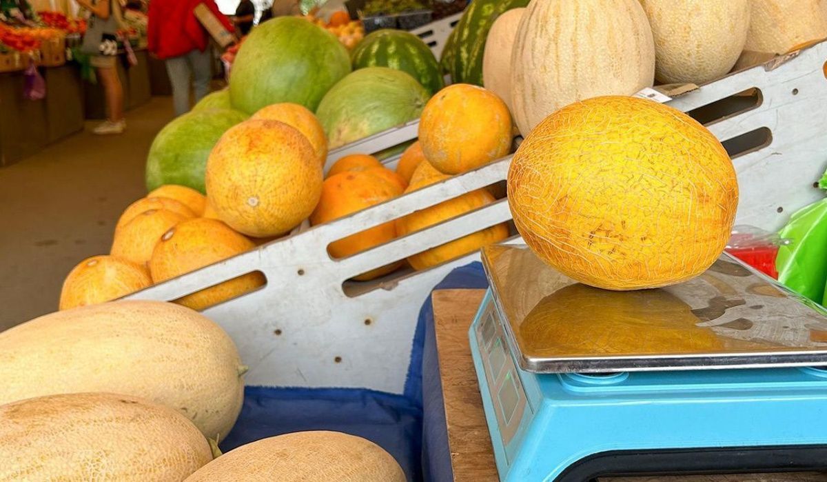 Как выбрать арбузы и дыни: советы для москвичей
