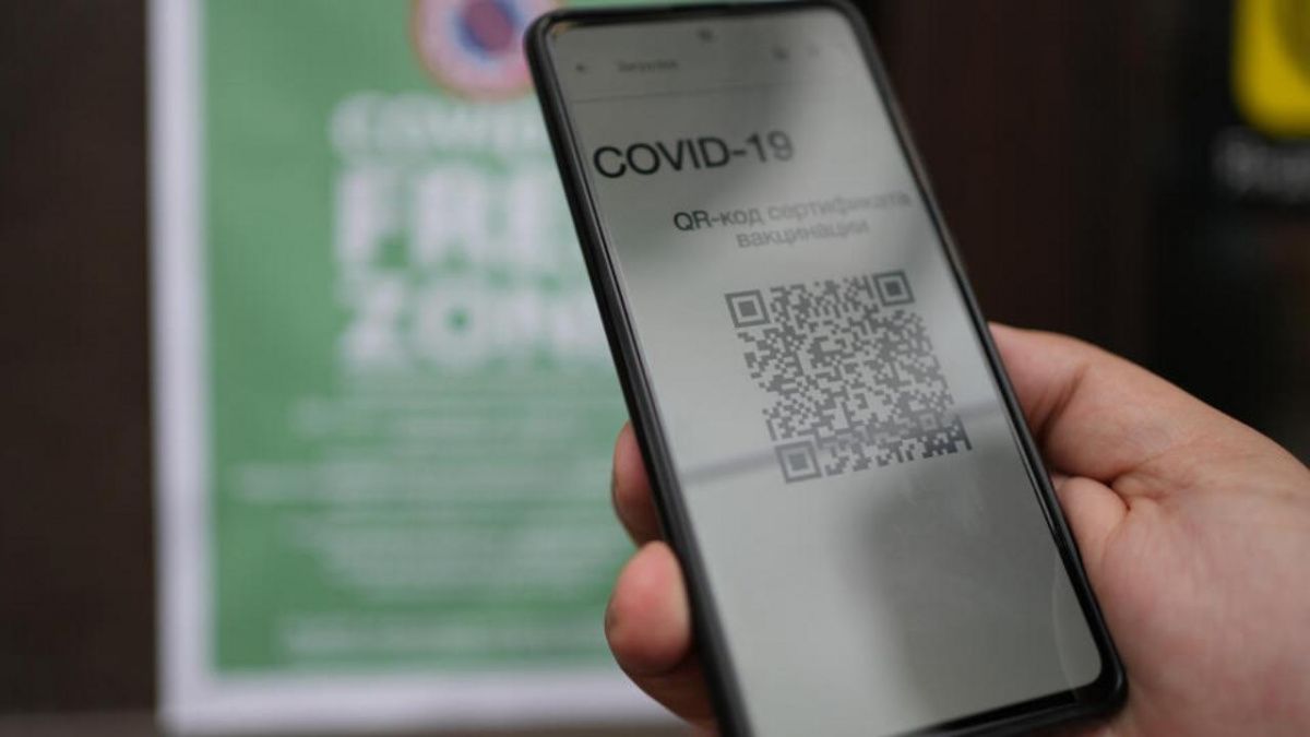 Отсутствие механизма проверки QR-кодов грозит новыми проблемами бизнесу Петербурга