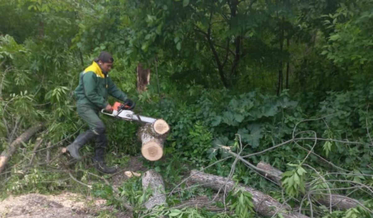 В Ростове ликвидируют последствия непогоды 