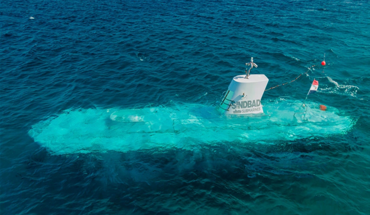 В Египте после крушения батискафа госпитализировали 14 граждан России