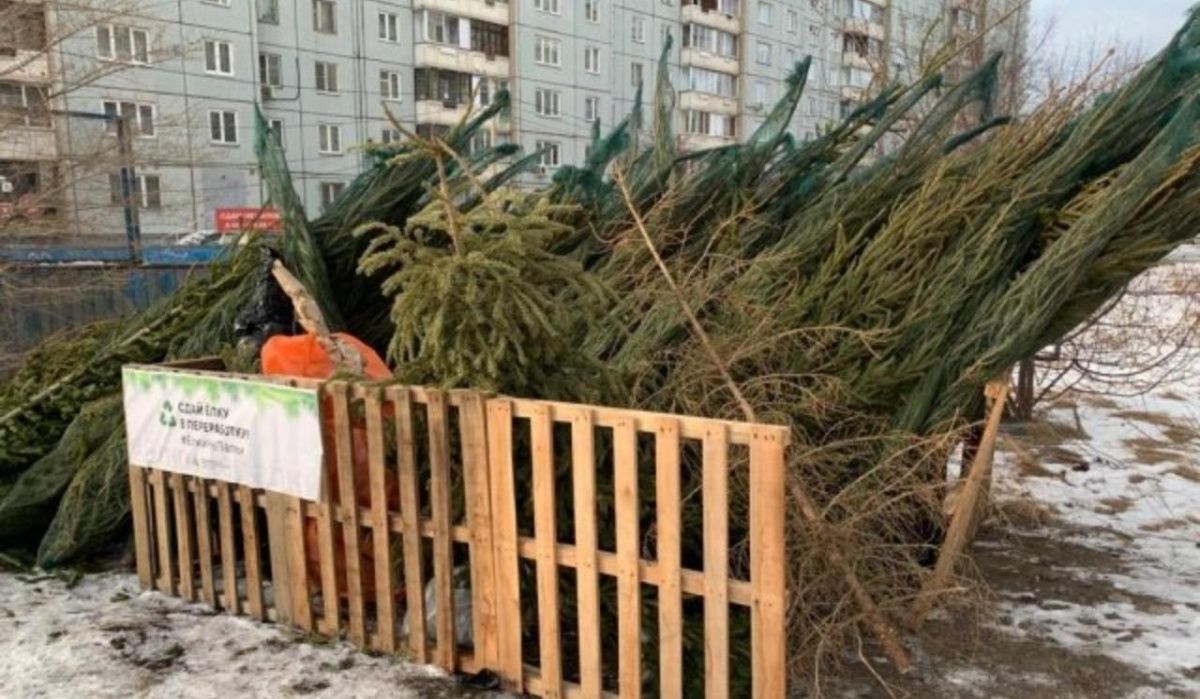 В Красноярске будет ездить елкомобиль 