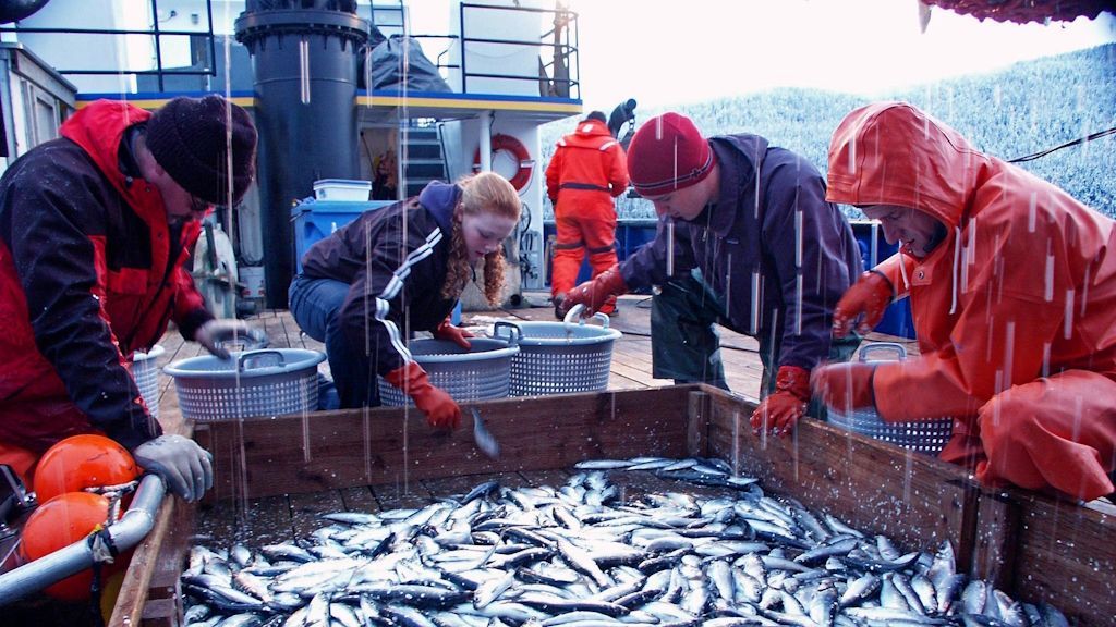 Россия продолжит ловить рыбу в Балтийском море, несмотря на протесты Прибалтики