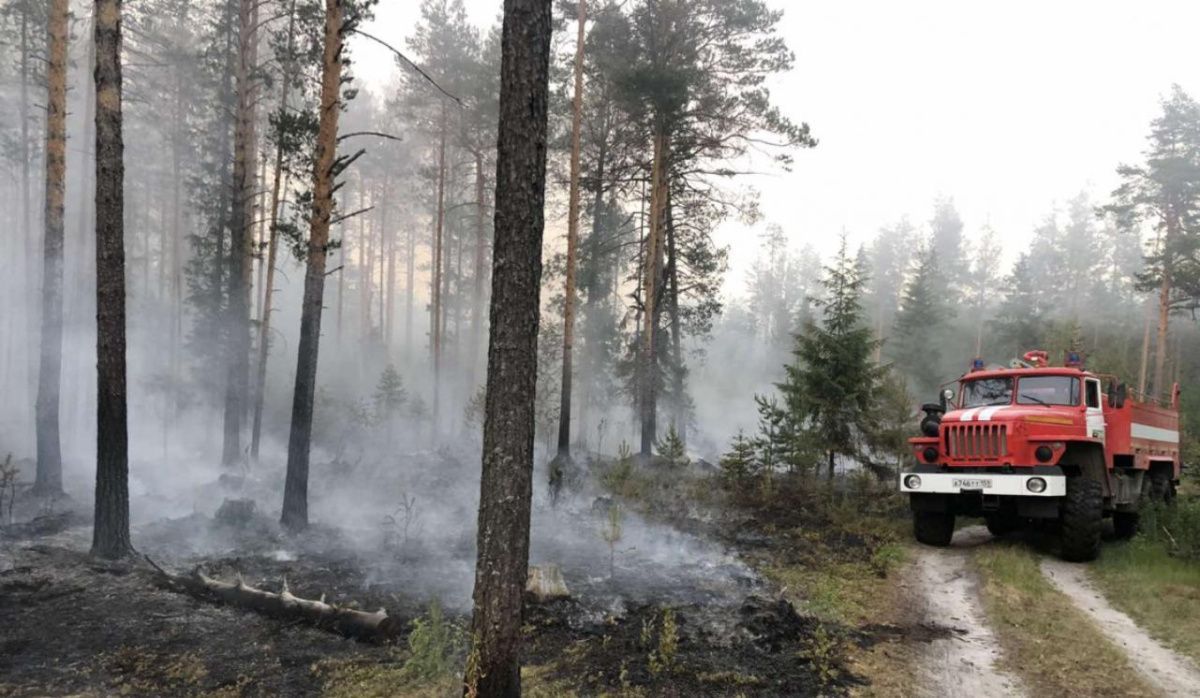 В Пермском крае искусственному интеллекту доверили контролировать лесные возгорания 