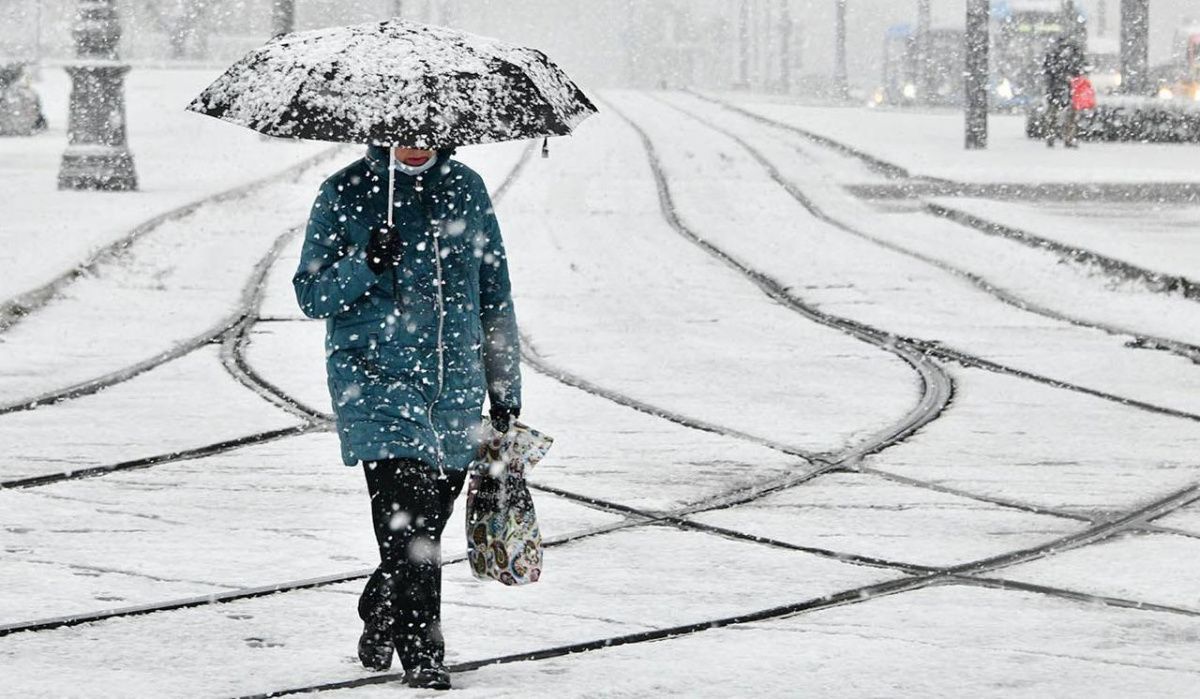 Москвичей на этой неделе ждут мокрый снег и сильный ветер