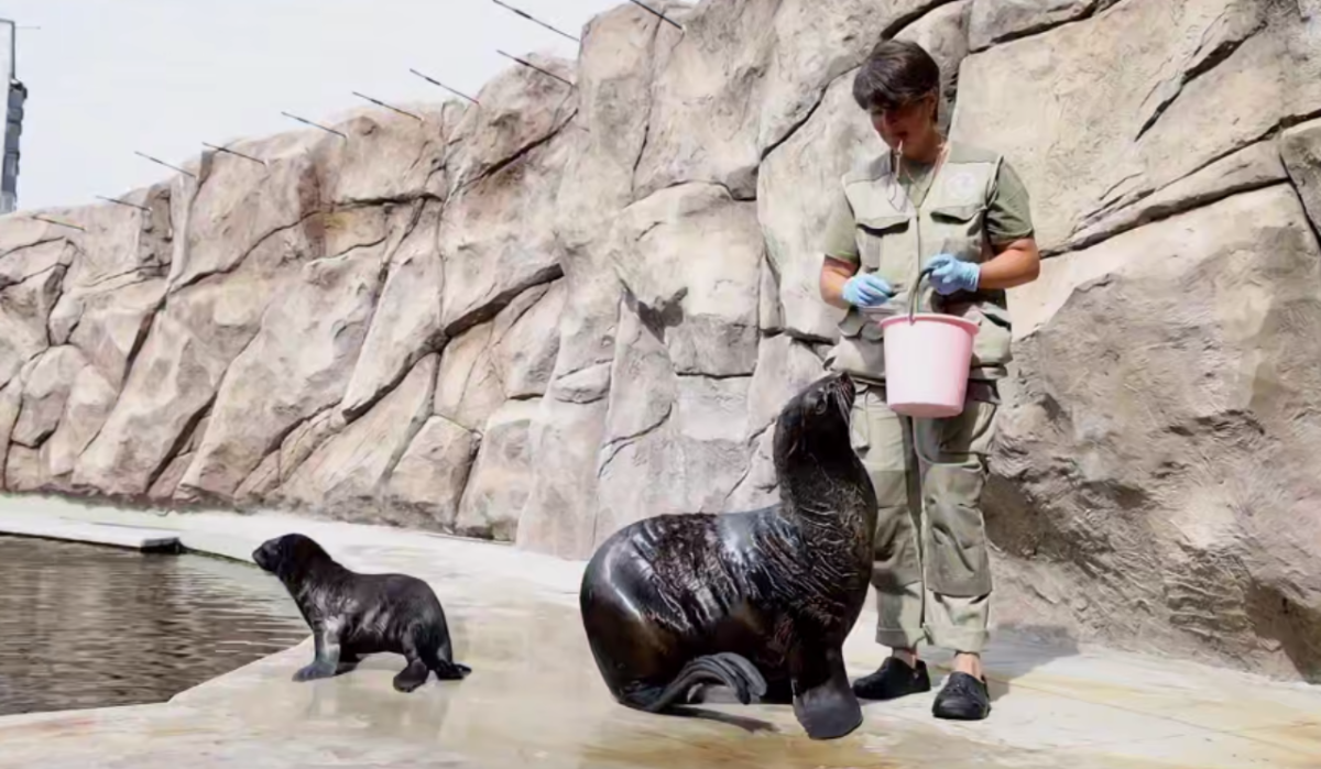 Московский зоопарк сообщил о долгожданном пополнении