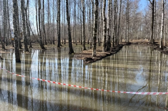 Жителей Новосибирска предупредили о второй волне паводка