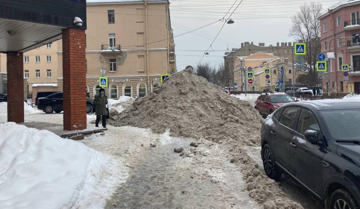 Народный артист РФ призвал Смольный «не закрывать уши» в ответ на критику и решить проблему с уборкой улиц