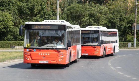 В Перми появится новый автобусный маршрут с завышенной стоимостью проезда