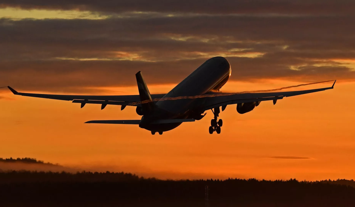 Рейсы Turkish Airlines под угрозой отмены из-за ограничений: предупреждение АТОР