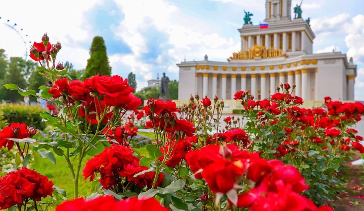 Сергей Собянин: В этом году в Москве высадят 53 миллиона цветов