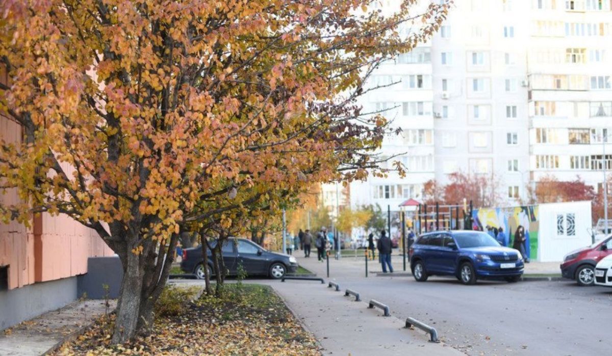 В Казани увеличат количество экипажей для усиления контроля за парковкой на газонах