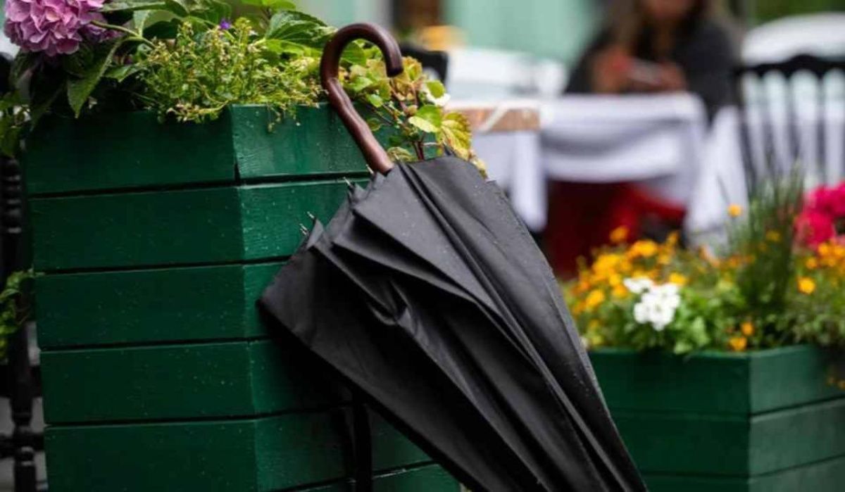 Колесов поделился прогнозом погоды на 4 сентября в Петербурге