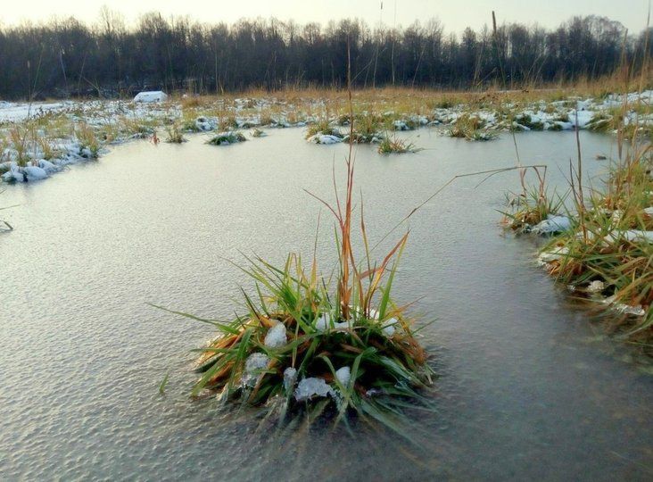 В Башкирии похолодает до -3