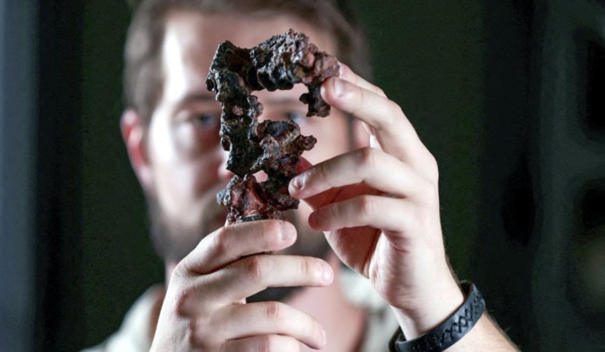 Зуб динозавра возрастом 120 миллионов лет поступил в колекцию Петербурга