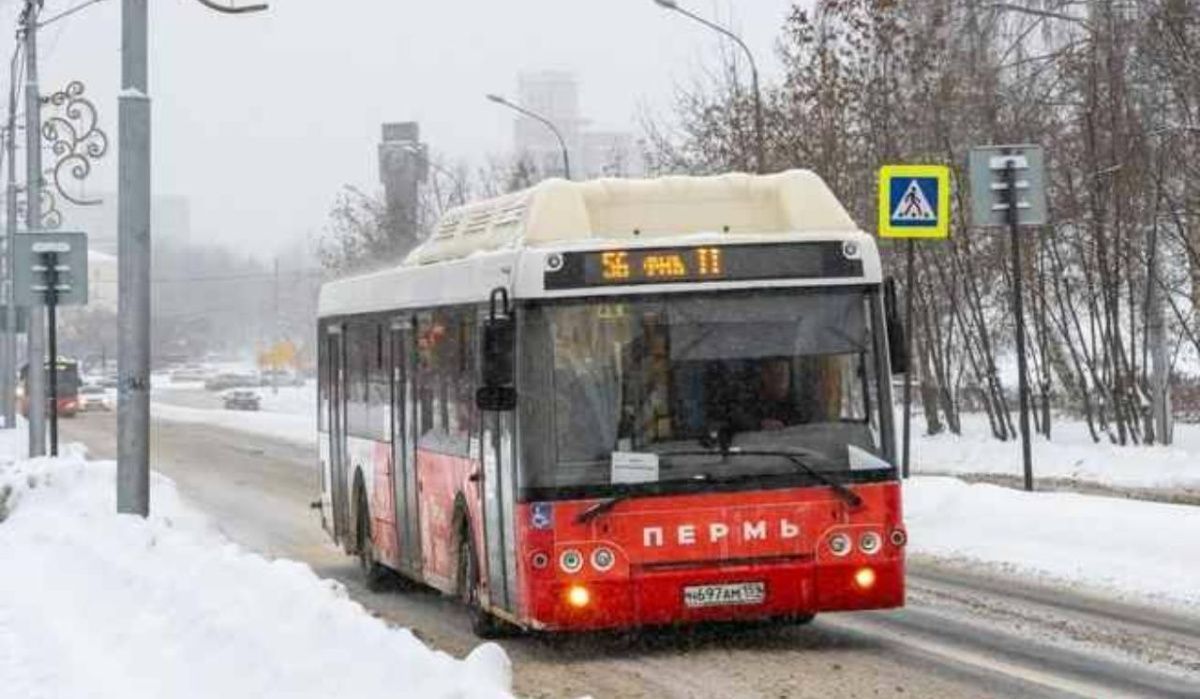 Автобусы начнут движение по новому участку улицы Крисанова в Перми