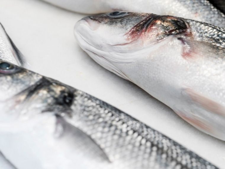 Омский Россельхознадзор разоблачил крупную схему подделки рыбной продукции