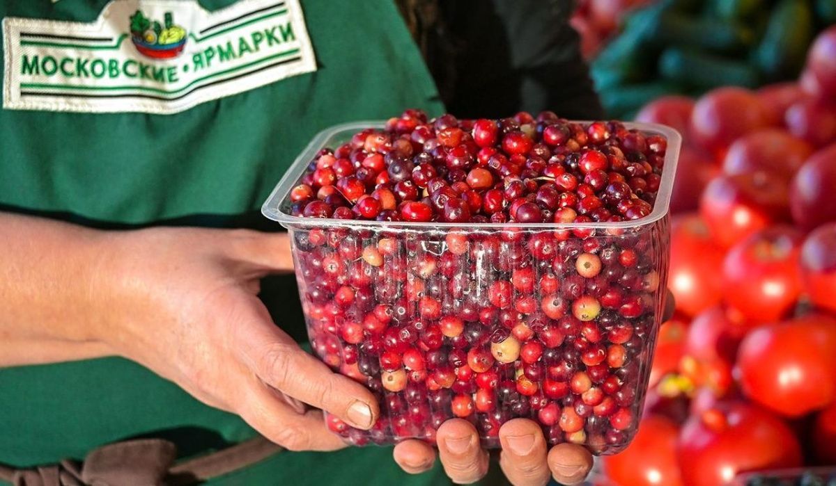 Московские ярмарки пополнились брусникой, облепихой и калиной