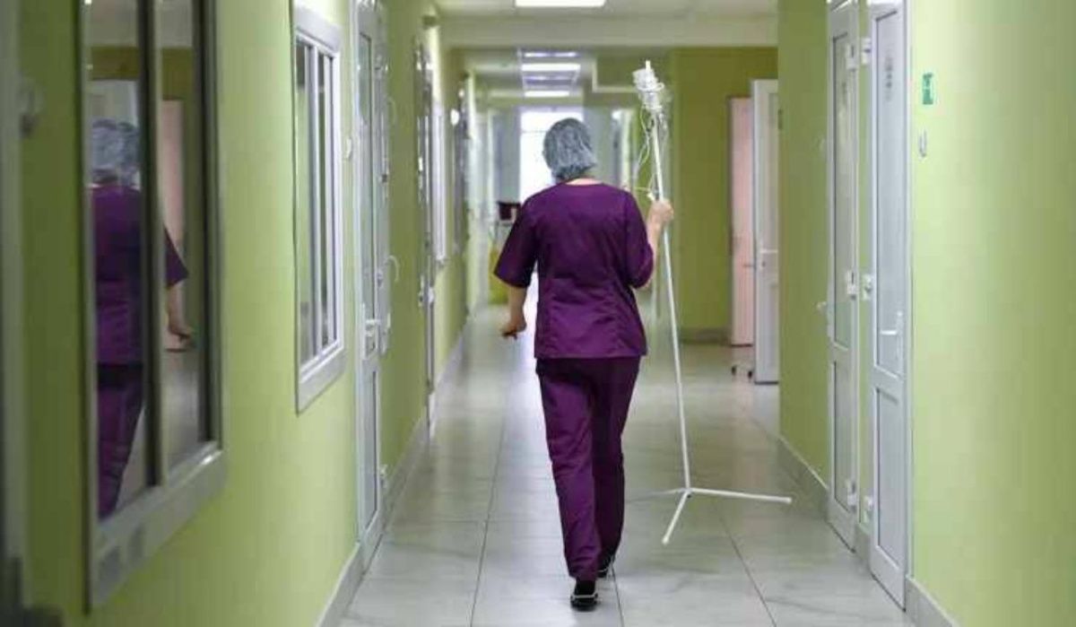 В Прикамье медведь напал на школьника, собиравшего ягоды с семьей