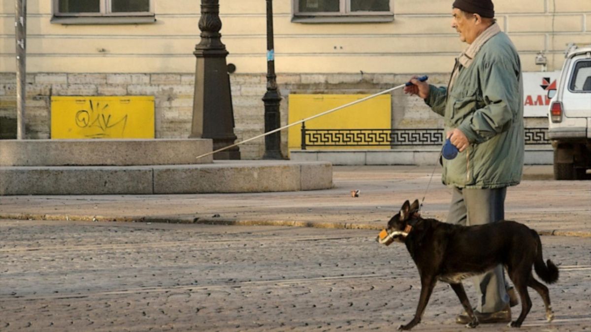 Подать заявку на получение технических средств для реабилитации можно онлайн в Москве