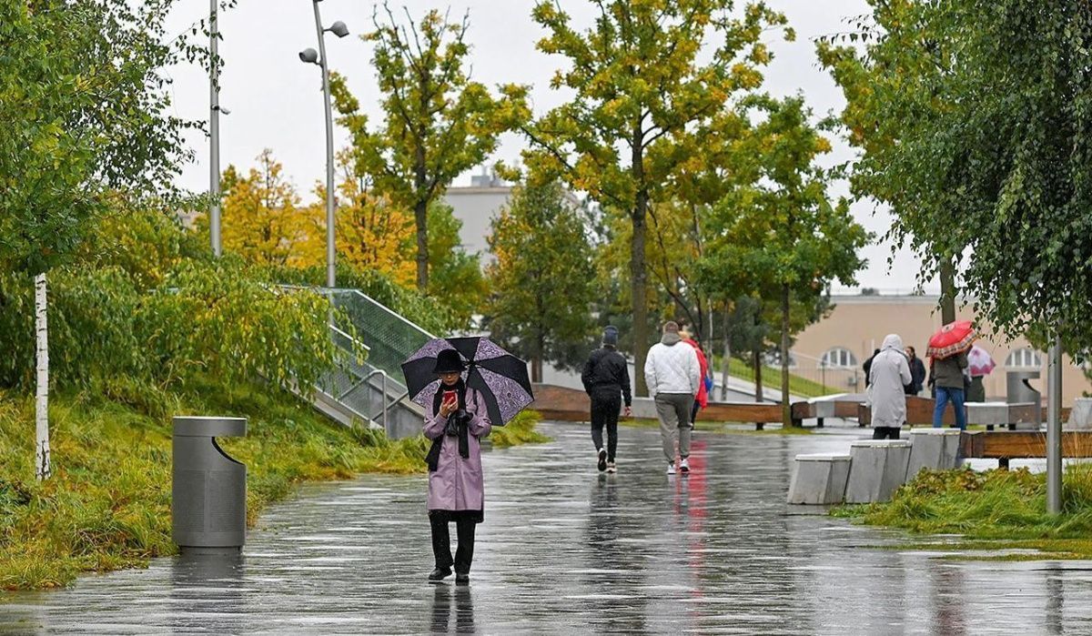 Москвичей ждут дожди, снег и ветер в ближайшие дни