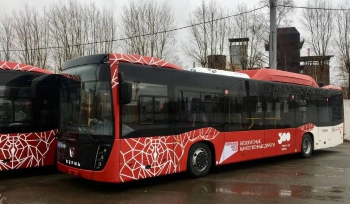 В Перми появятся ночные автобусные маршруты